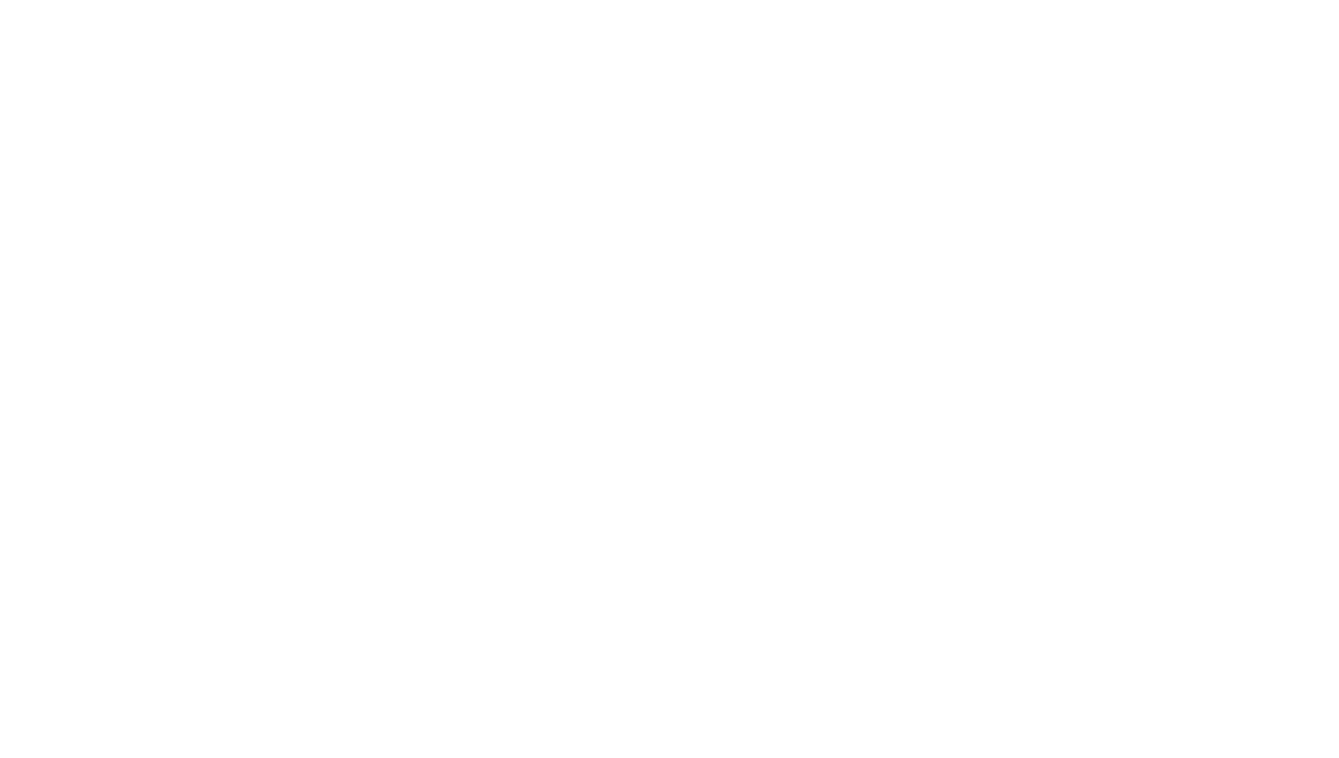Cake Boss
