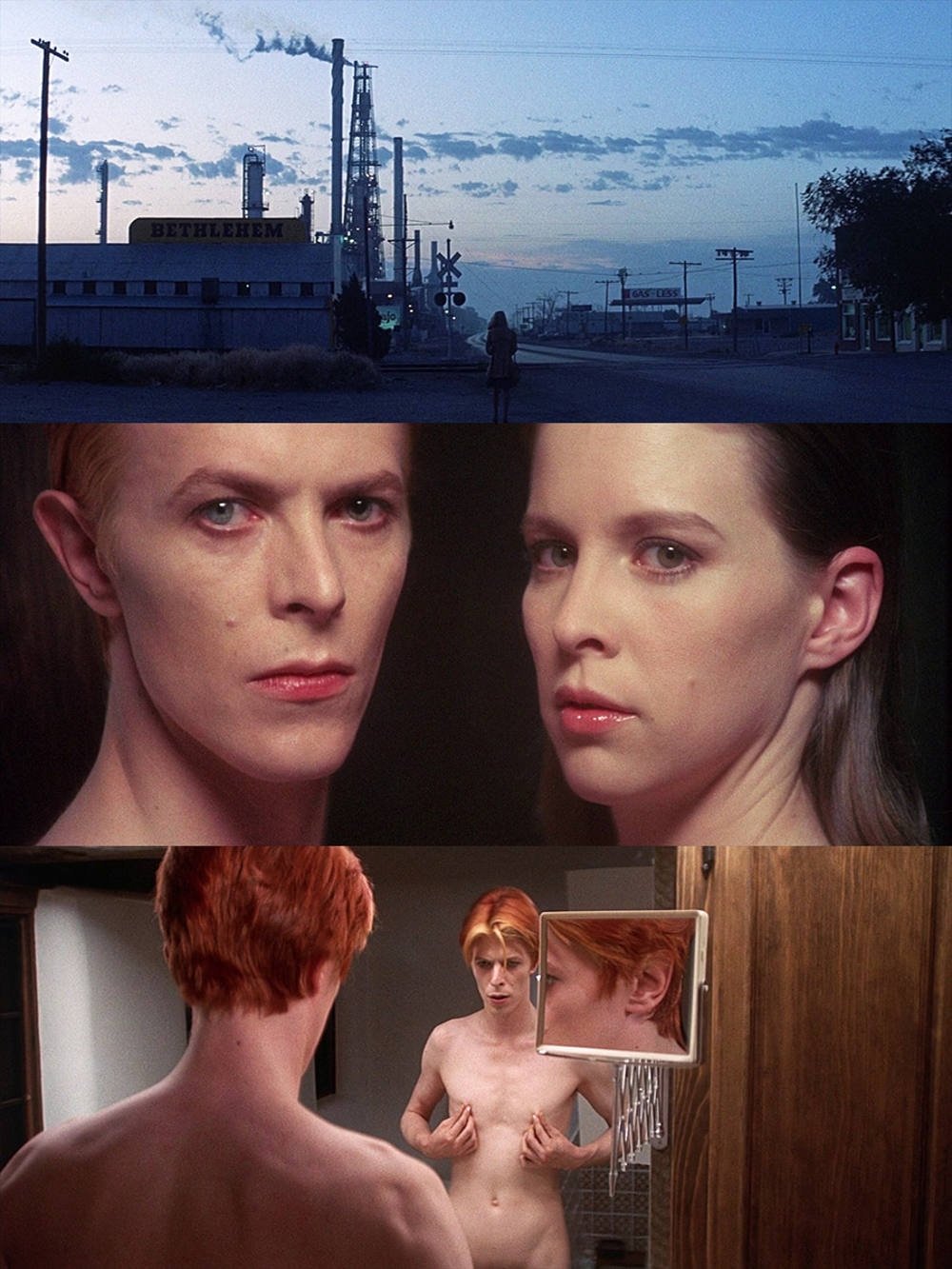 The Man Who Fell to Earth