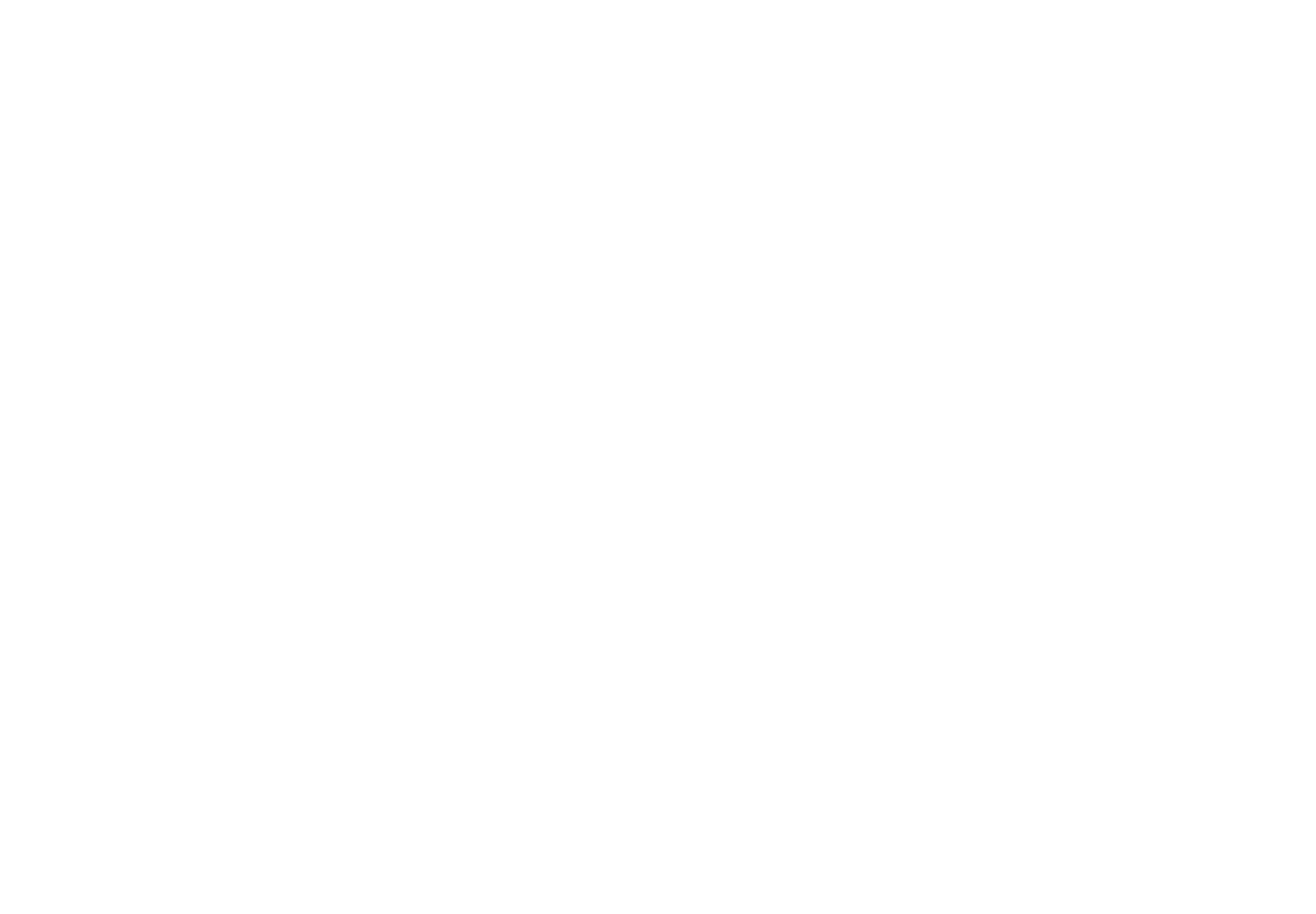 Bad Boys Logo