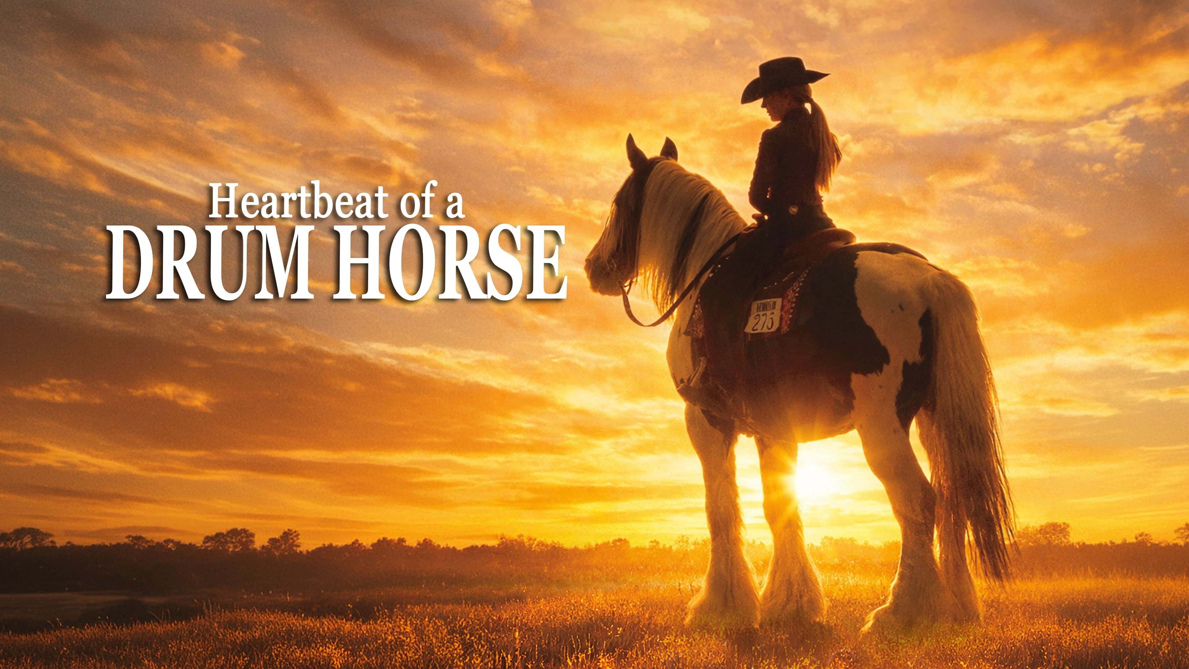 Heartbeat of a Drum Horse