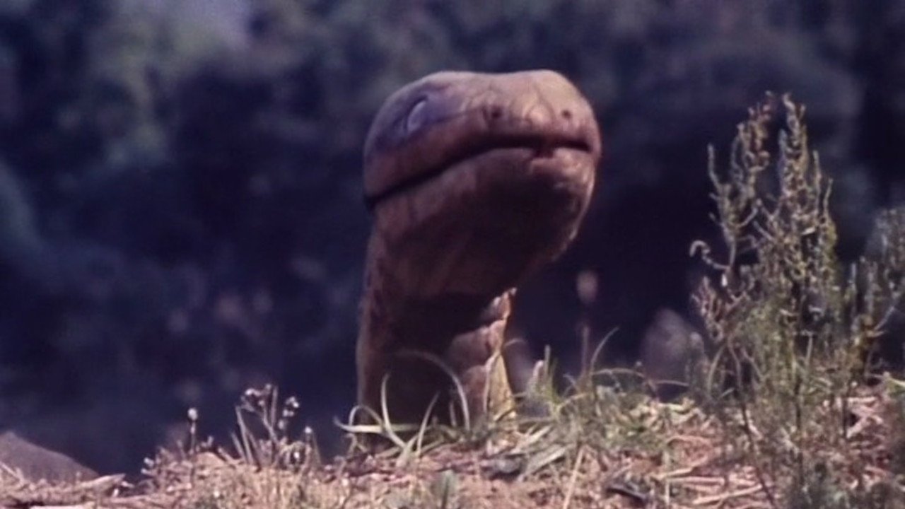 Thunder of Gigantic Serpent (1988)