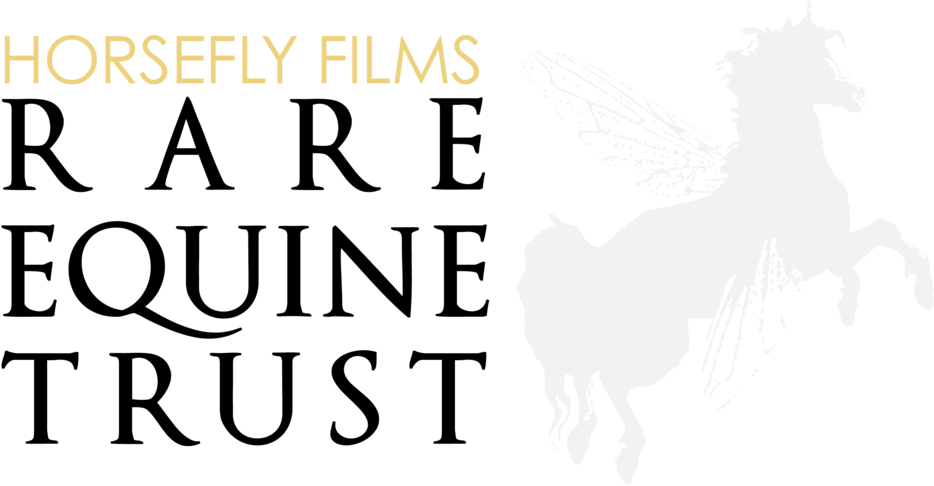 Horsefly Films Rare Equine Trust
