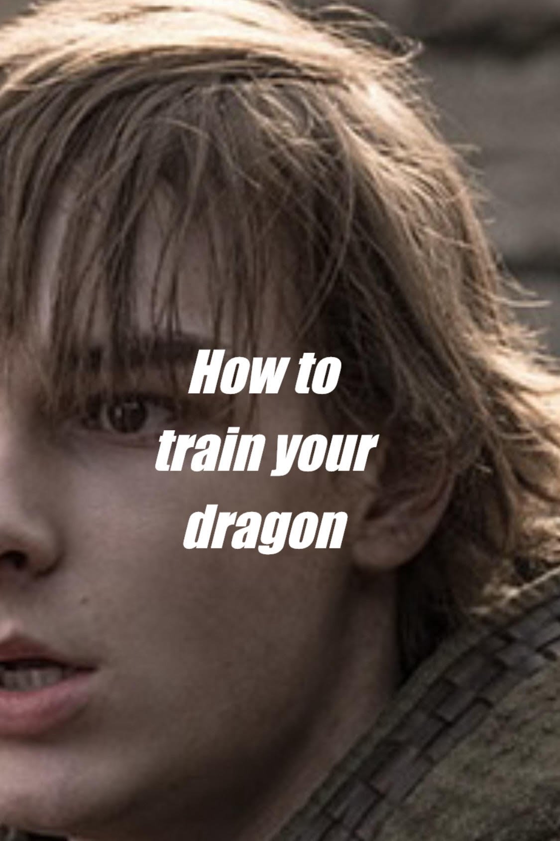 How to Train Your Dragon