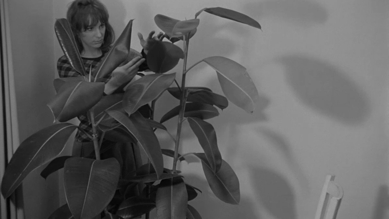 The Botanical Avatar of Mademoiselle Flora