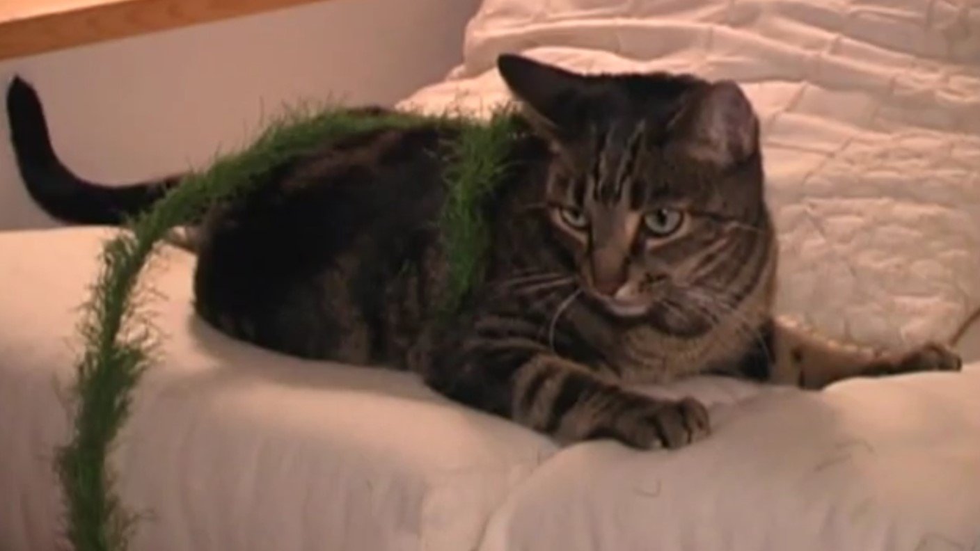 Catastrophy (2000)