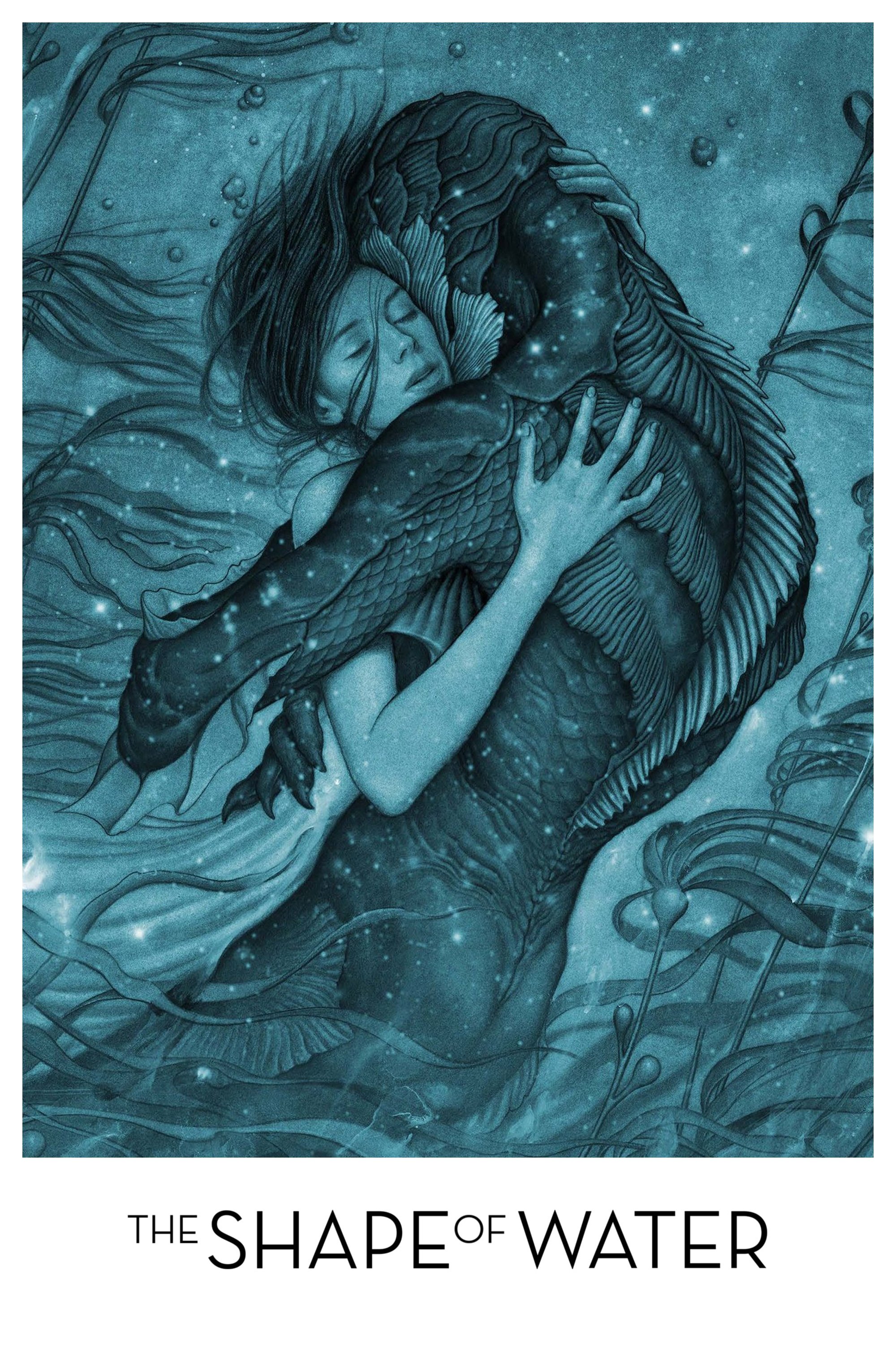 The Shape of Water