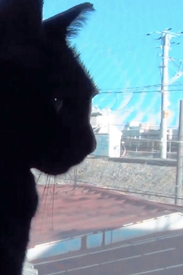 合成人間のリハビリ