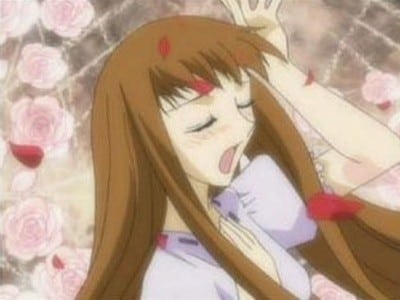 Fruits Basket
