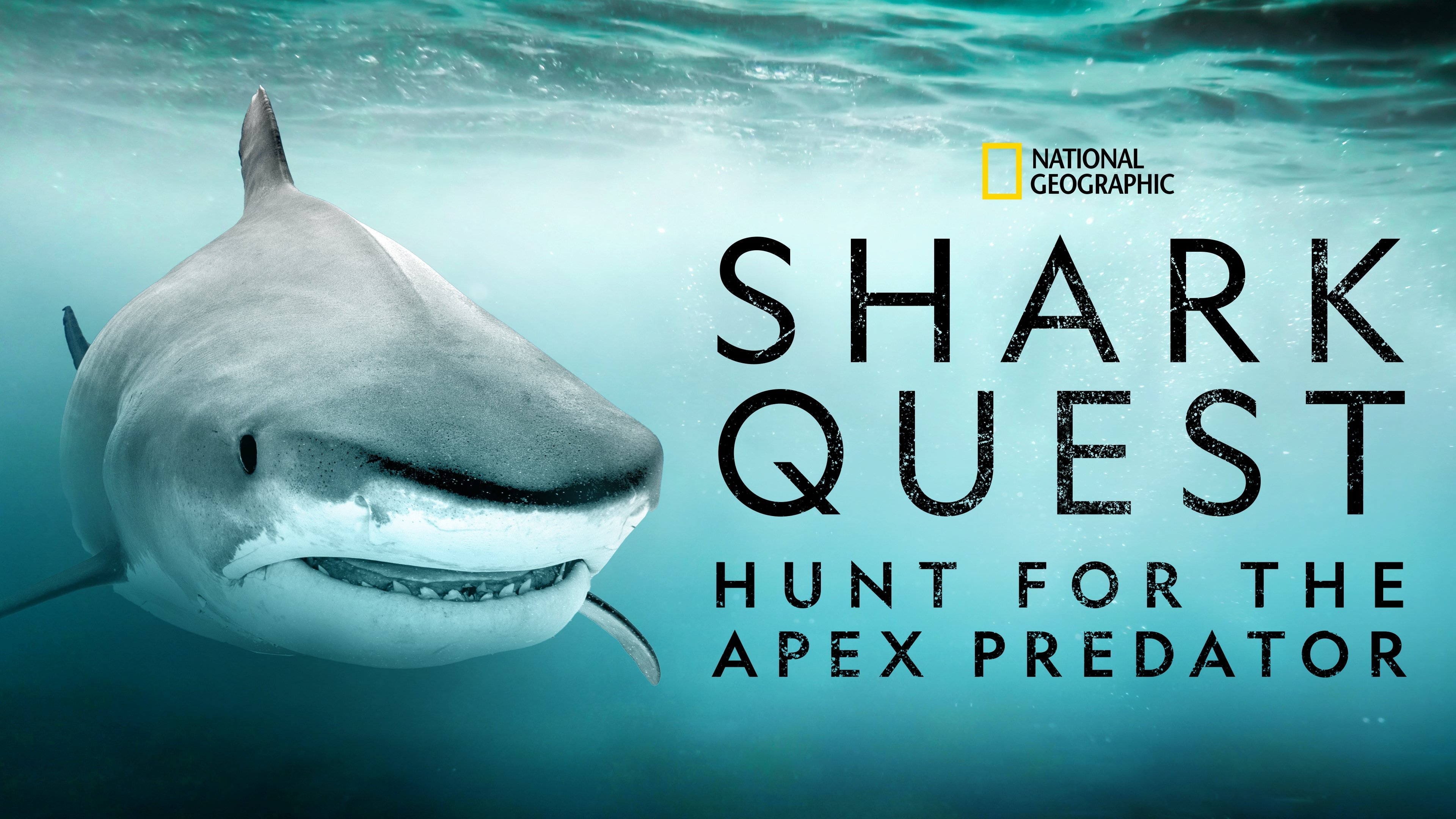Shark+Quest%3A+Hunt+For+The+Apex+Predator