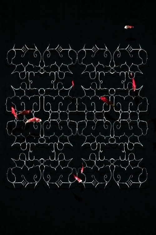 Ciciri