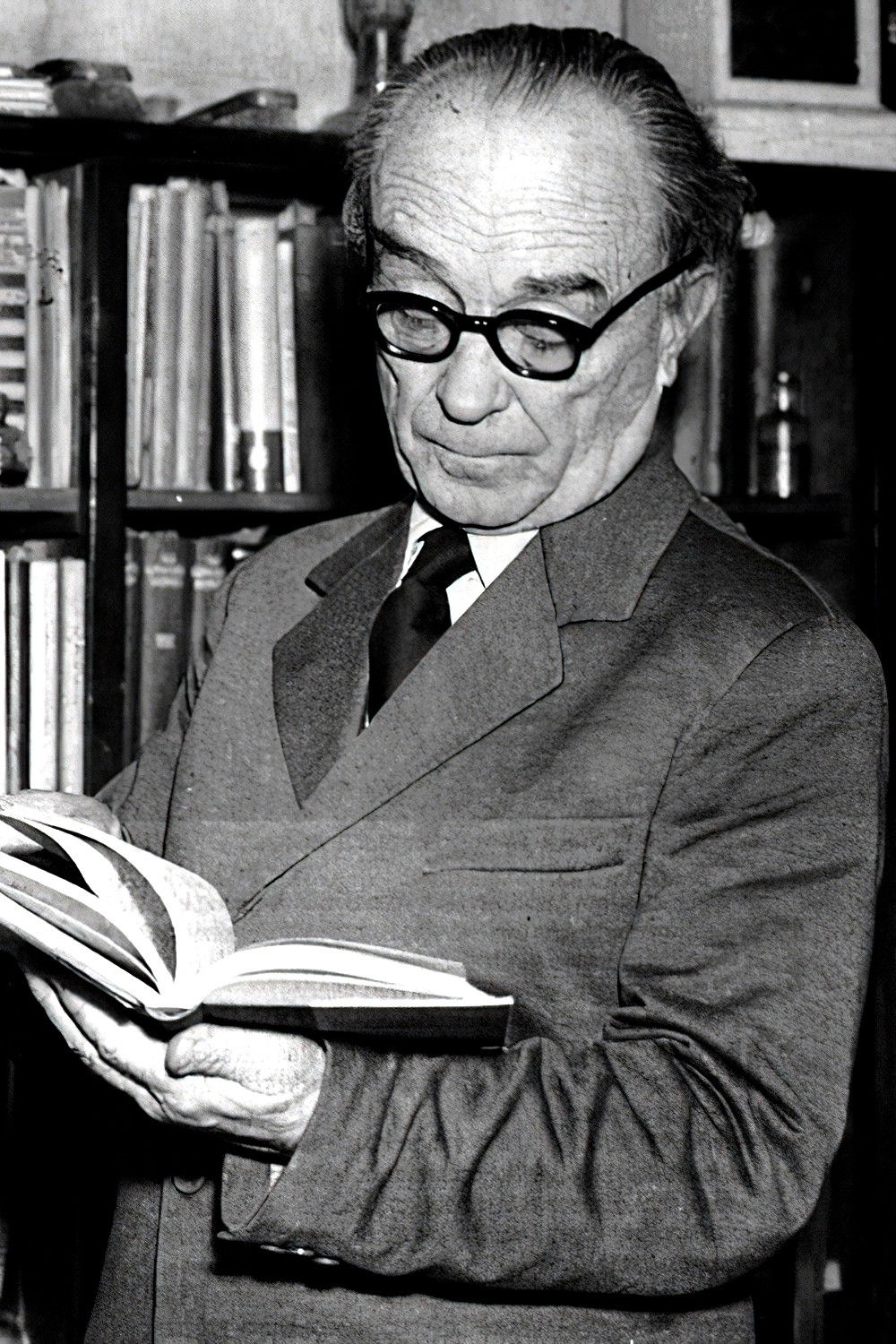 et billede af Dr. Öveges József