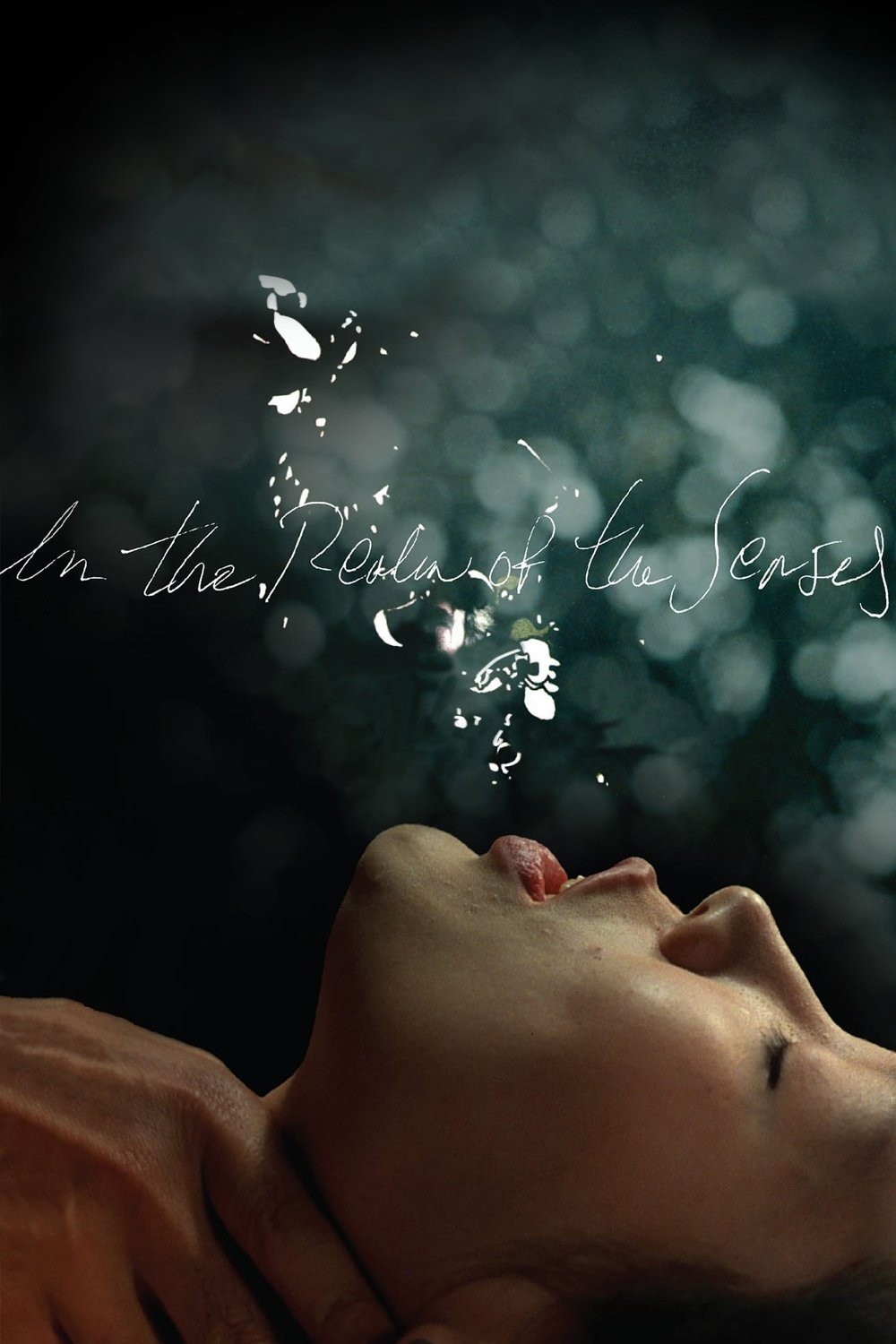 In the Realm of the Senses