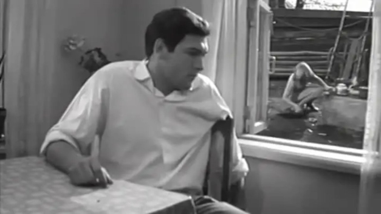 The Journalist