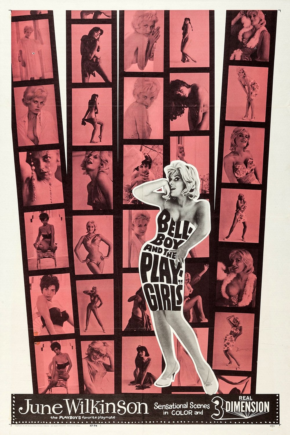 The Bellboy and the Playgirls