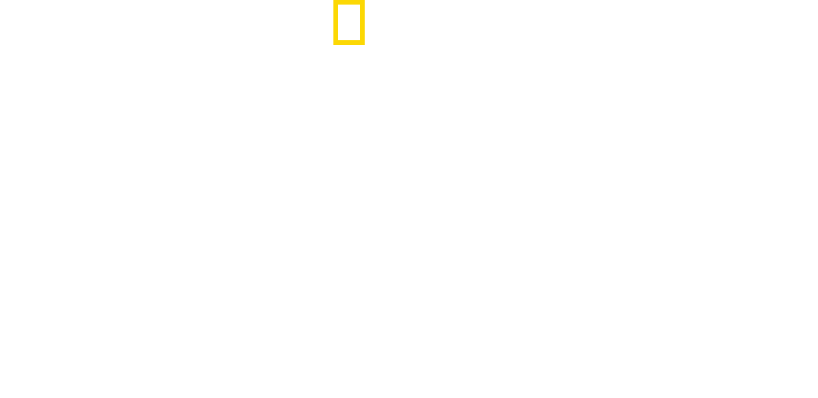 Hitler Youth Logo