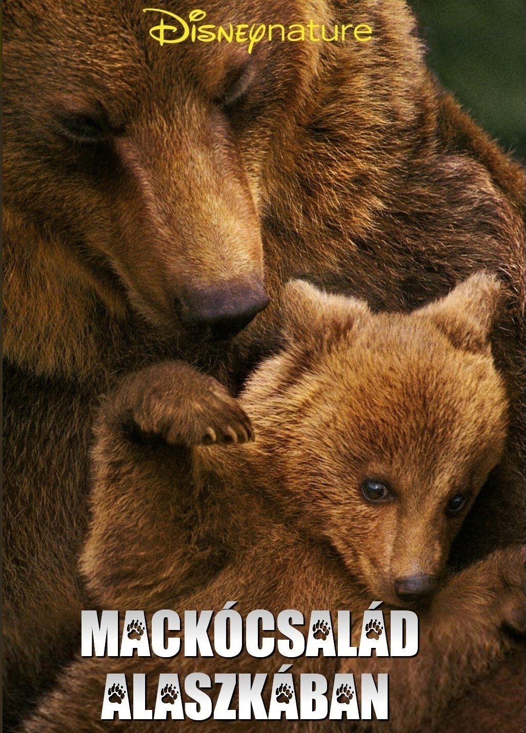Mackócsalád Alaszkában