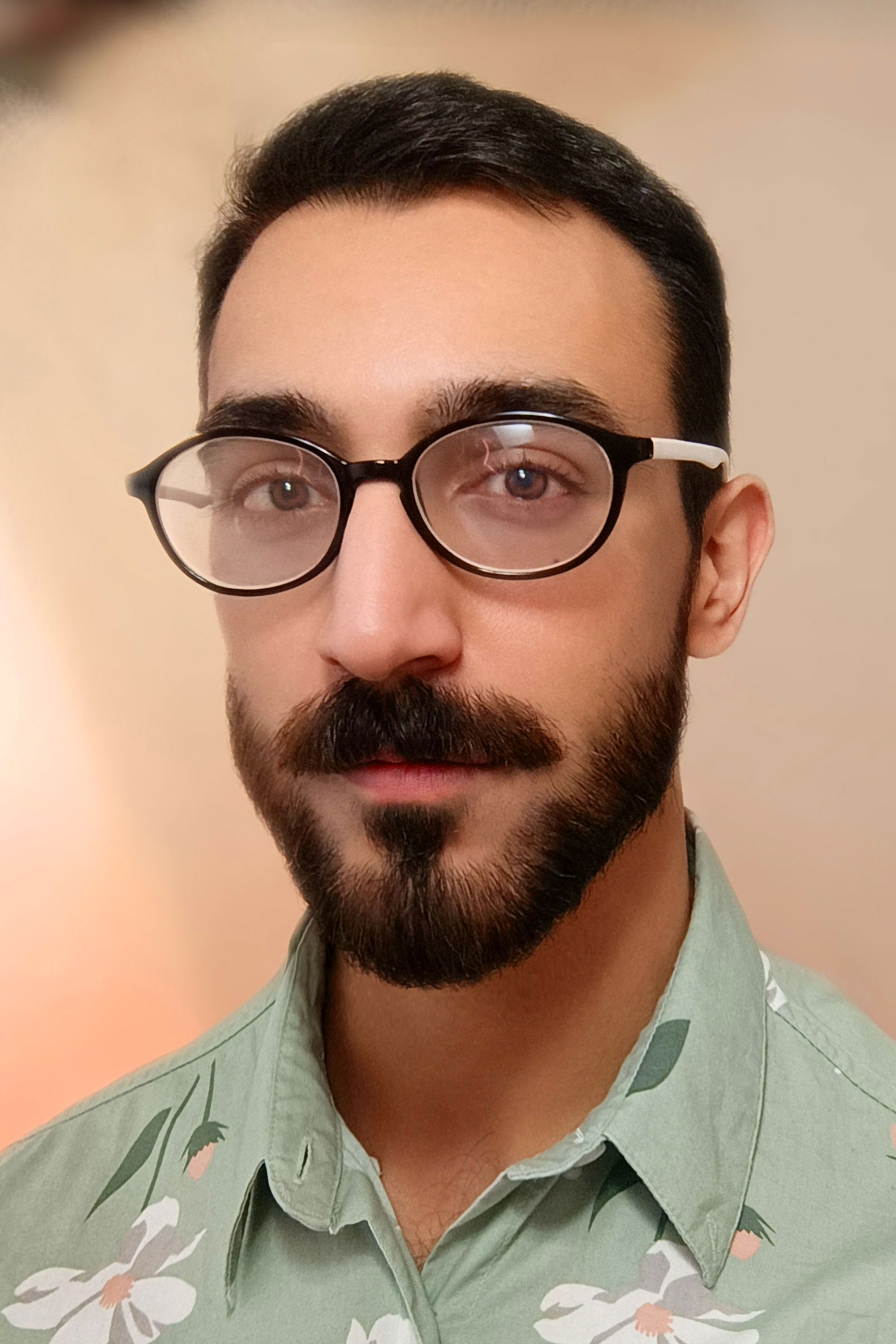 et billede af Sina Beizavi