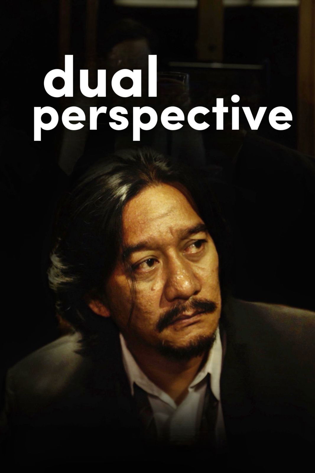 poster movie Dual Perspective