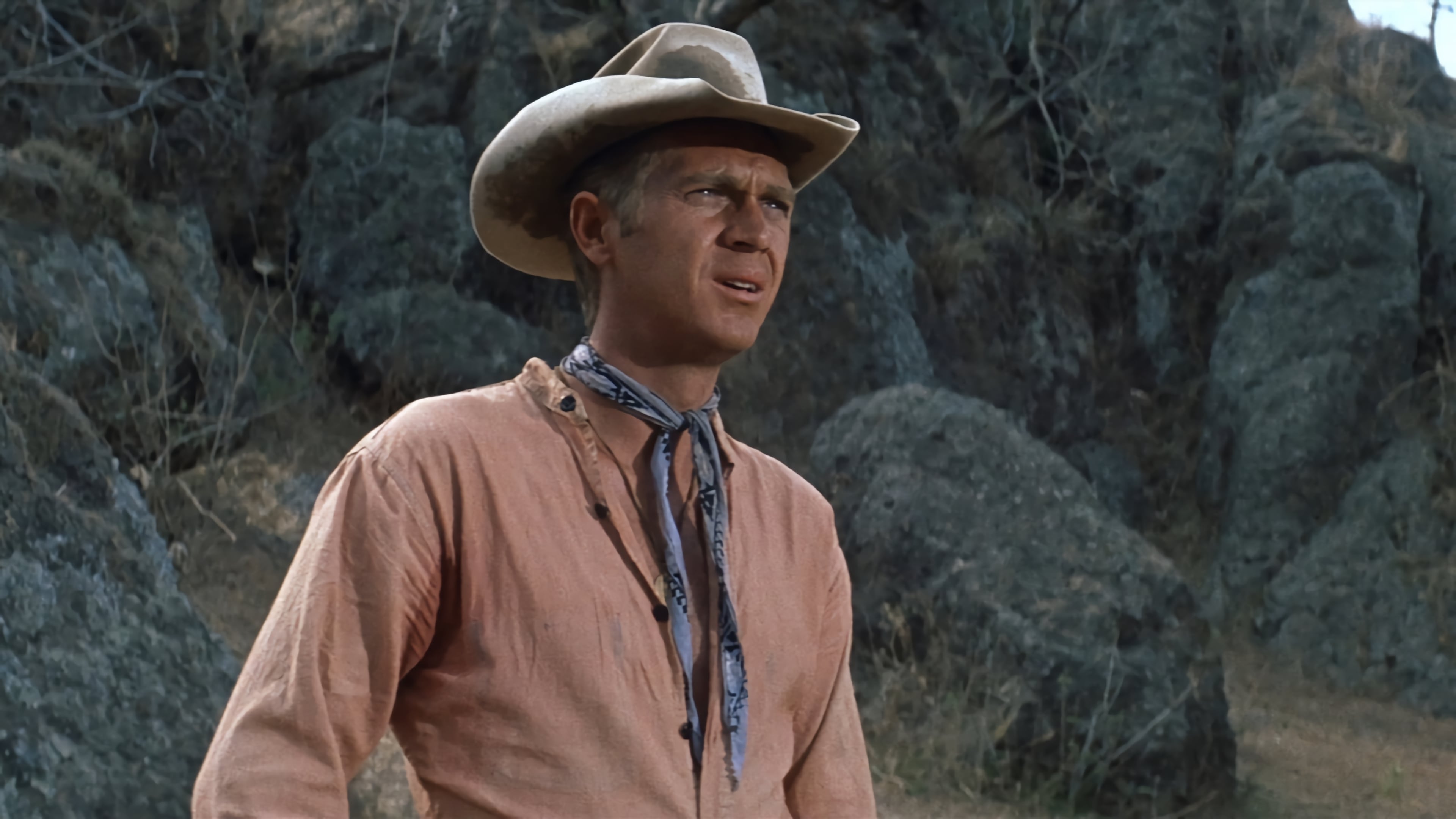 The Magnificent Seven (1960)