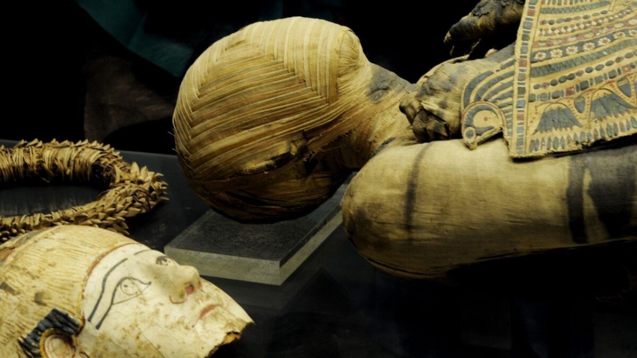 Momies d'Egypte, en quête d'immortalité (2025)