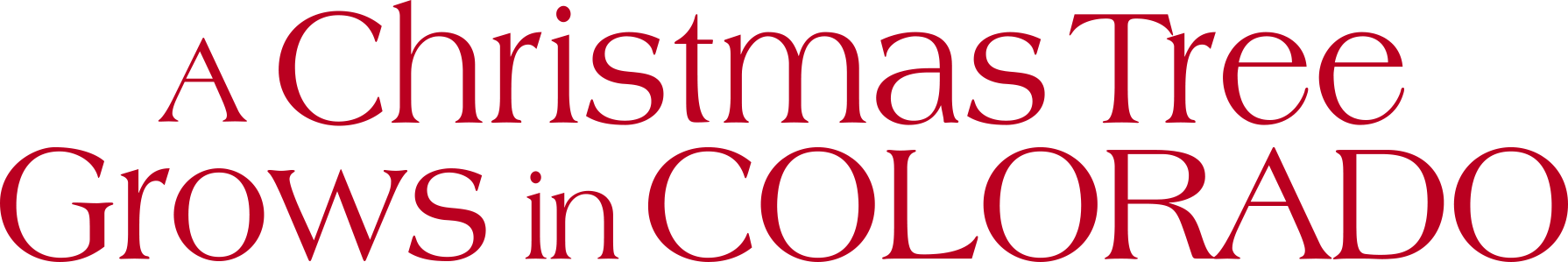 A Christmas Tree Grows in Colorado