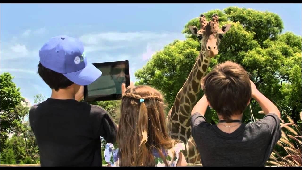 Locos sueltos en el zoo