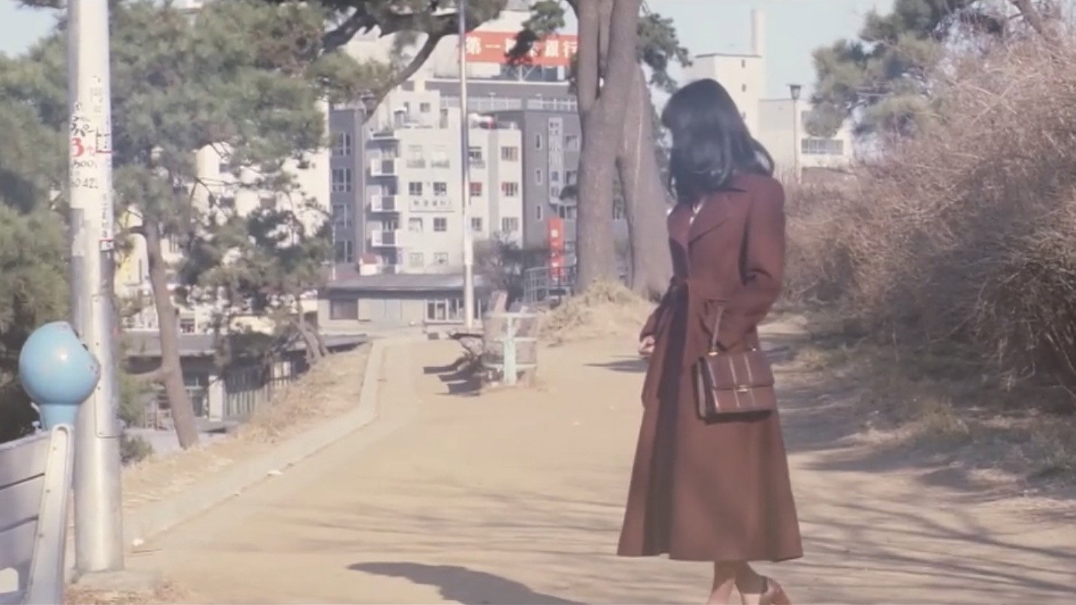 Joshi daisei: Karisome no tsuma