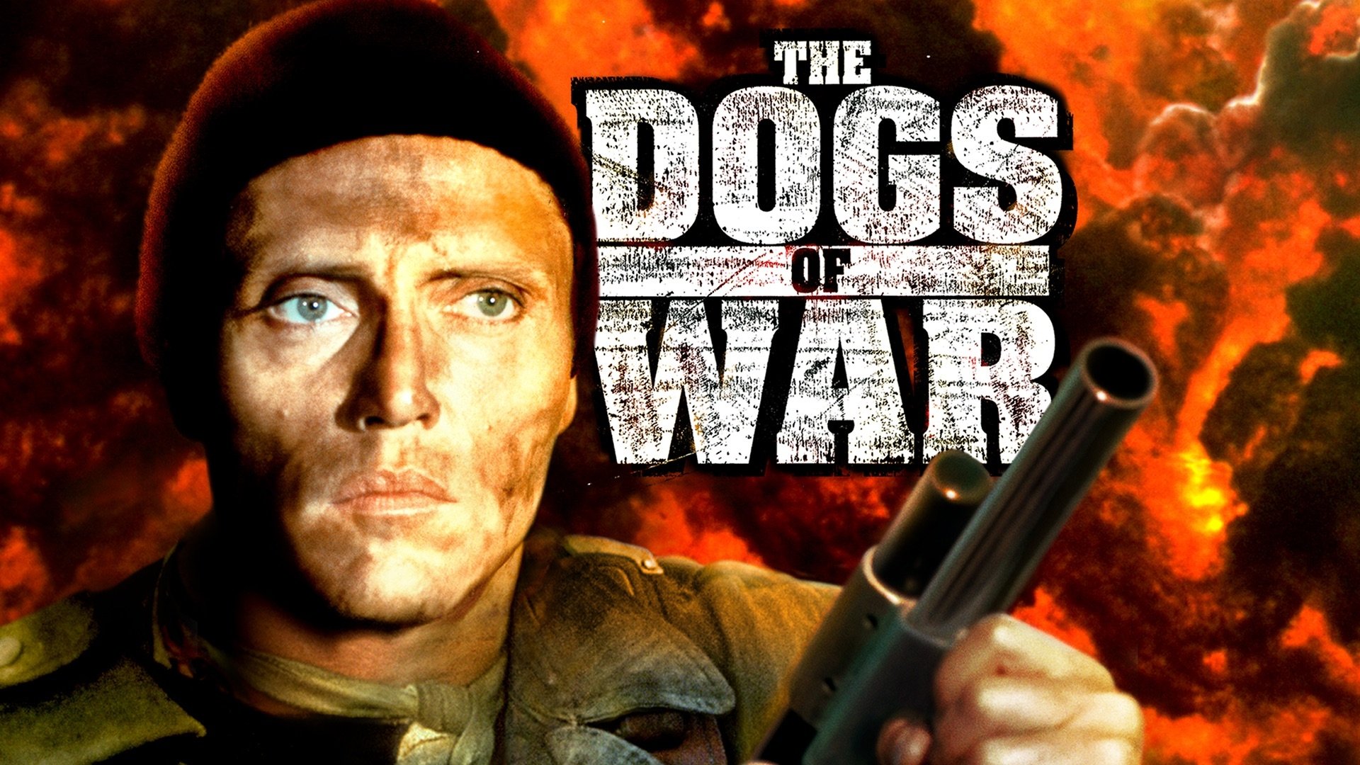 The Dogs of War (1980)