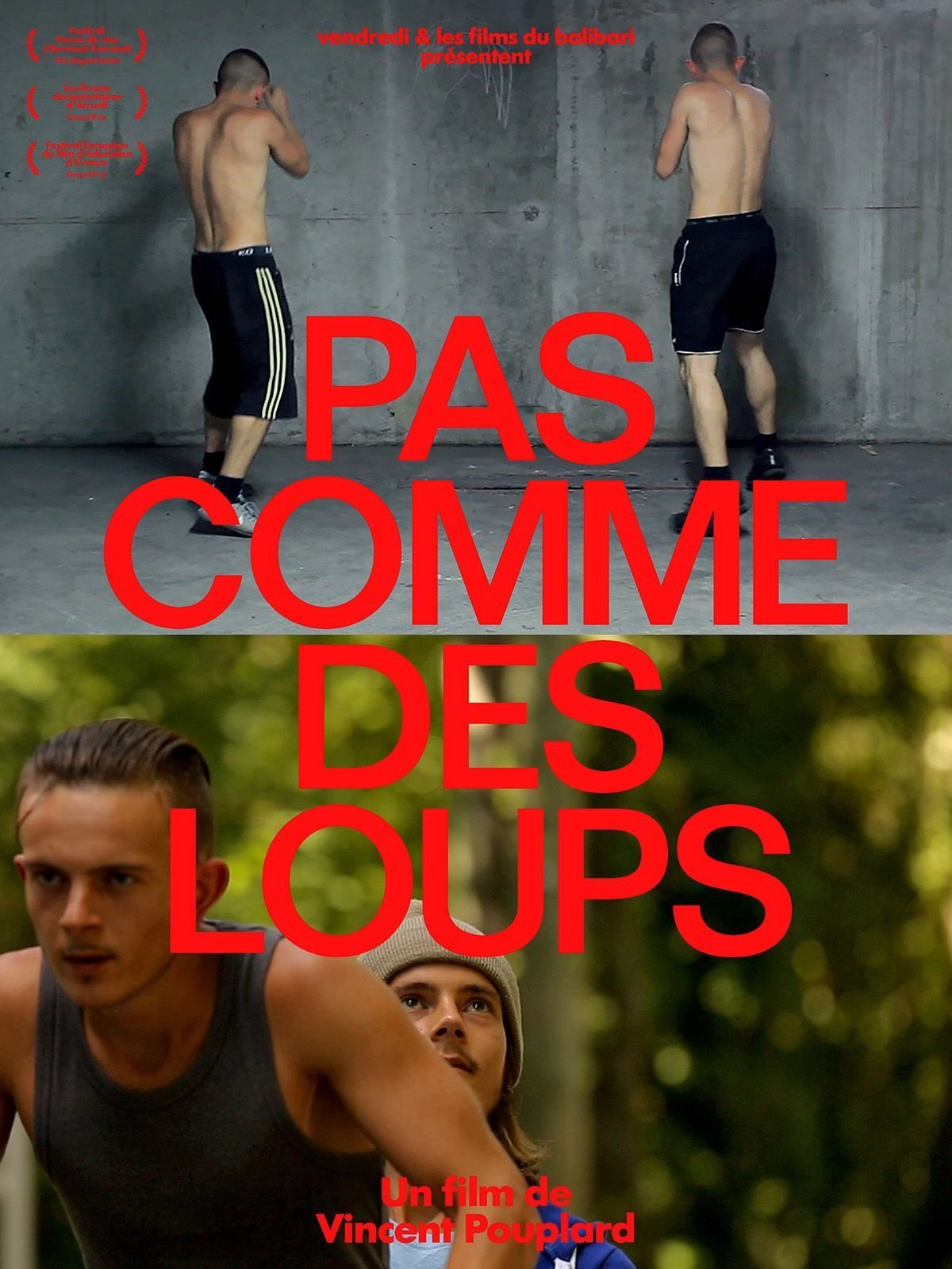 Affiche du film Pas comme des loups 8769