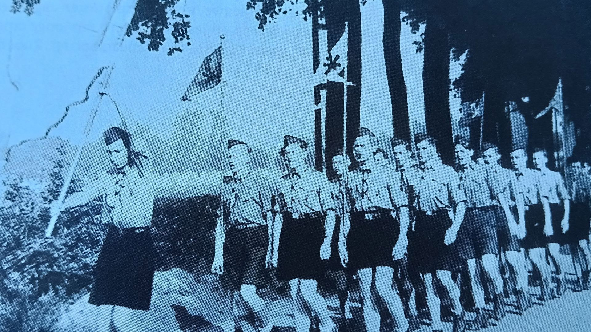 Boys Who can carry a Flag