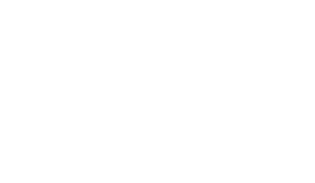Lady Vengeance Logo