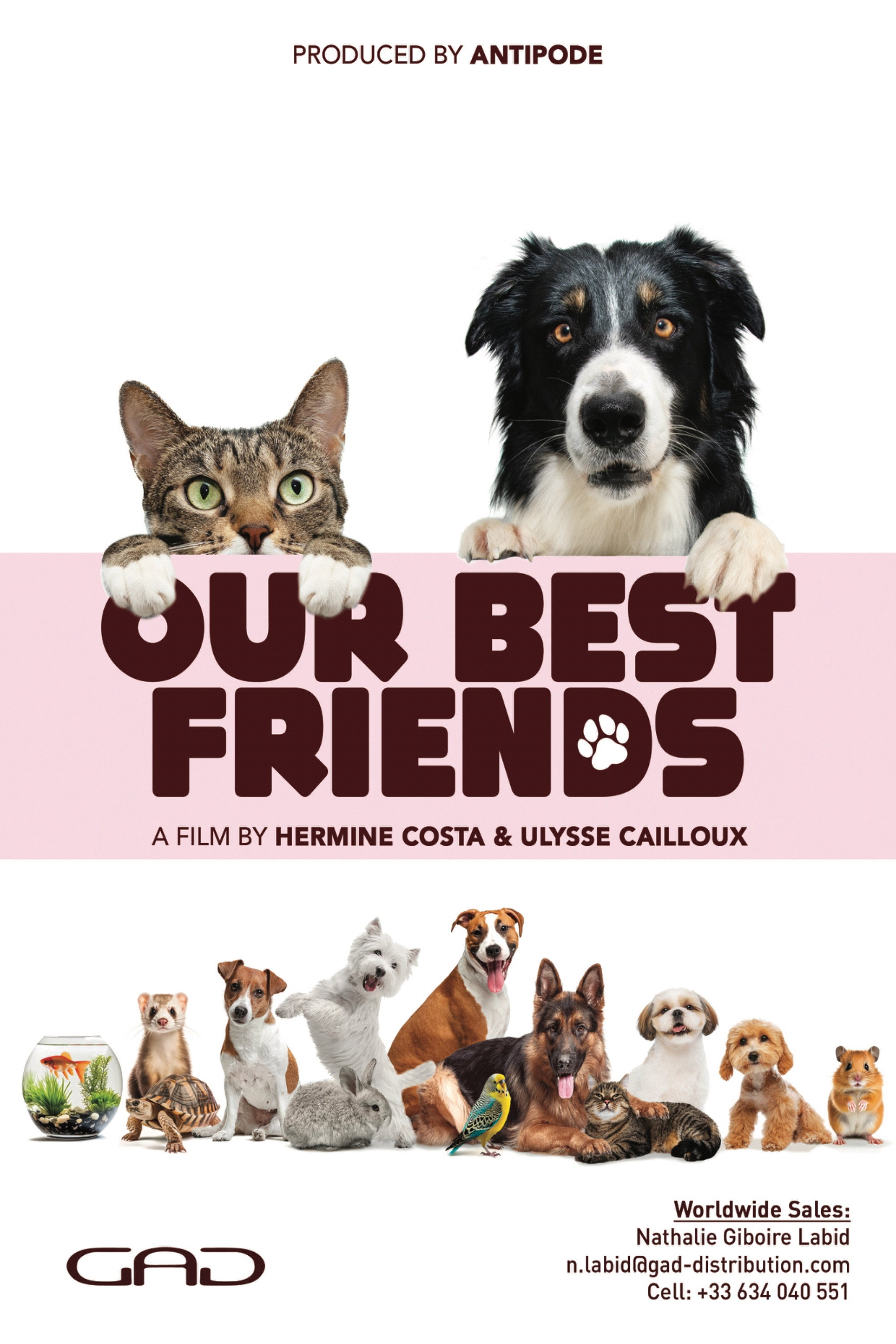 Nos tr&egrave;s chers animaux