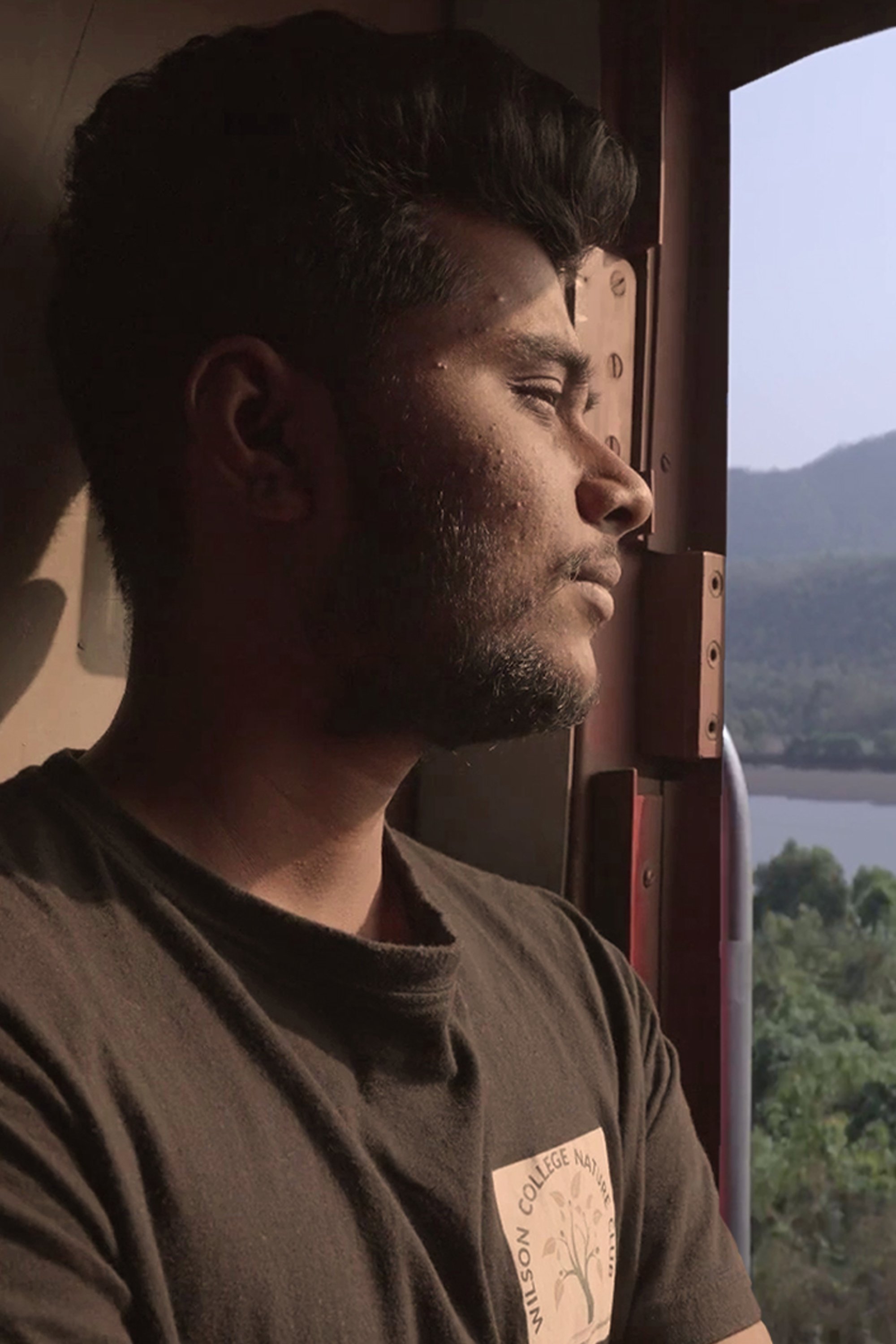 et billede af Merlin