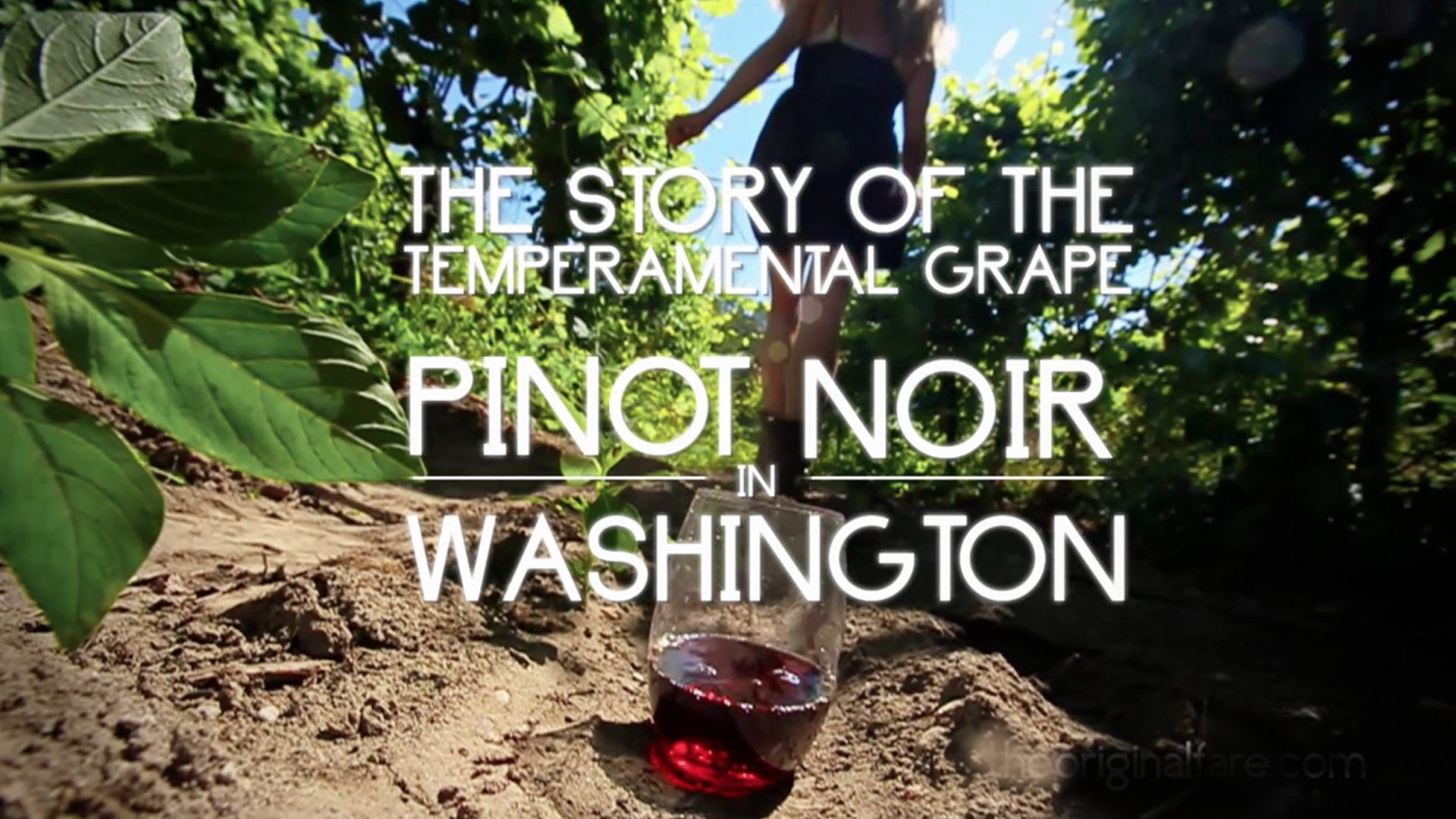 Thumbnail for Pinot Noir in Washington Season 1 Episode 3