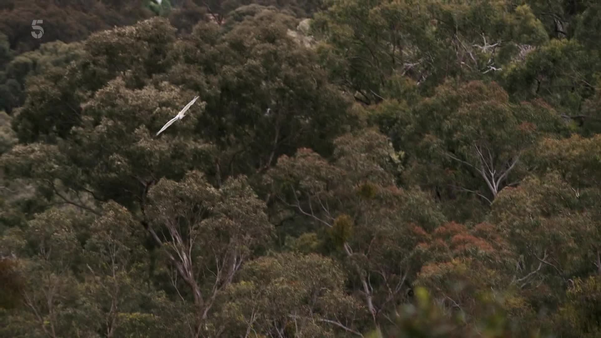 Episode 3