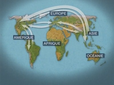Le Dessous des cartes - Géographie des épizooties