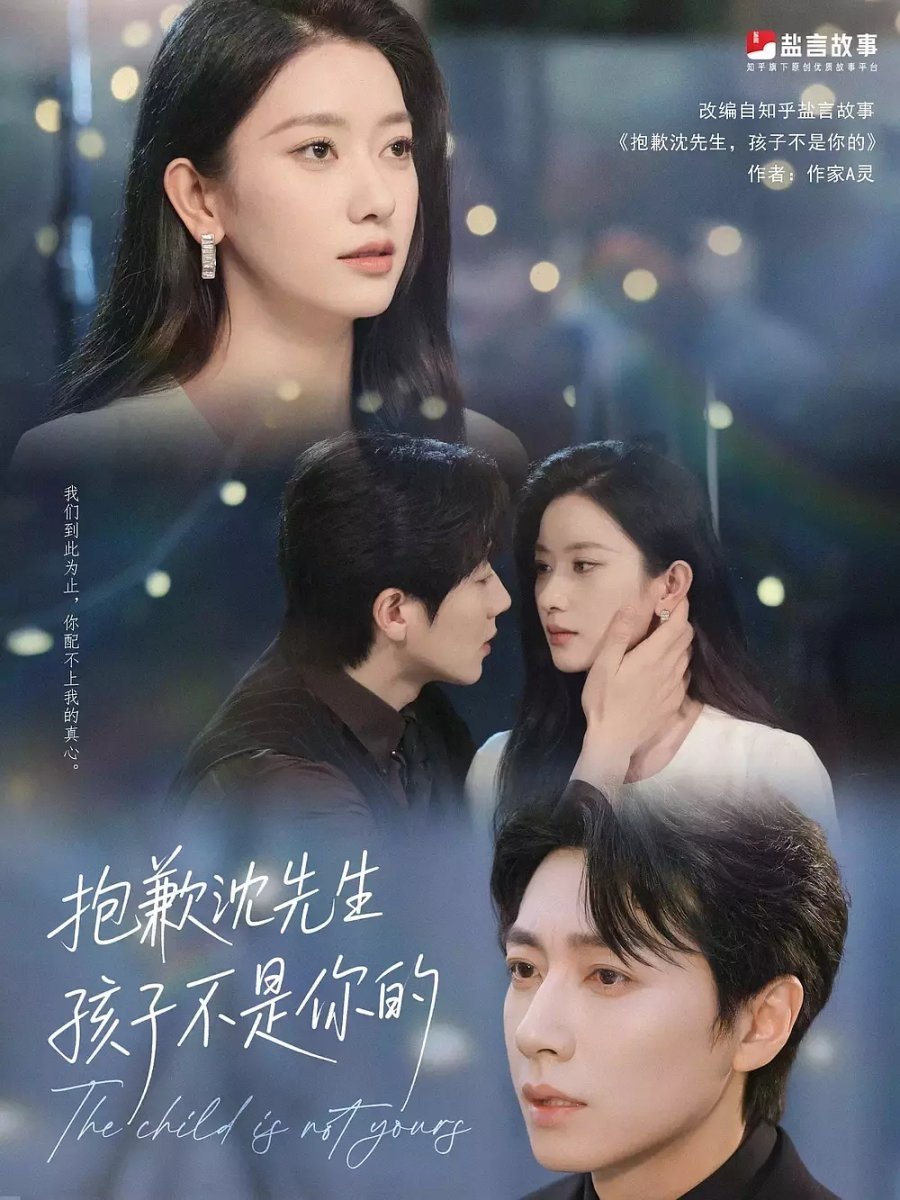 抱歉沈先生，孩子不是你的 - Season 1