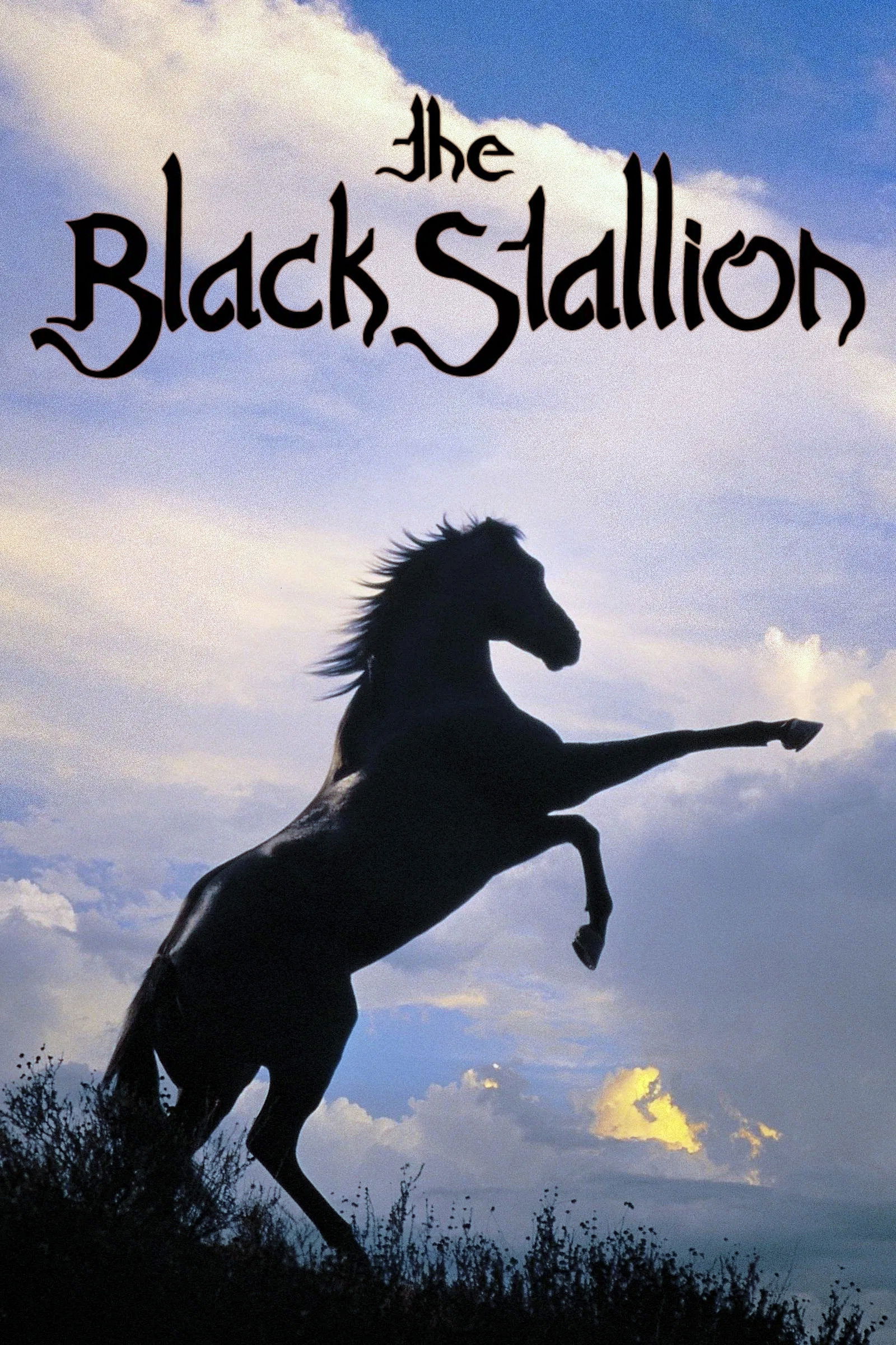 The Black Stallion