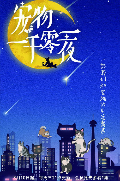 宠物一千零一夜