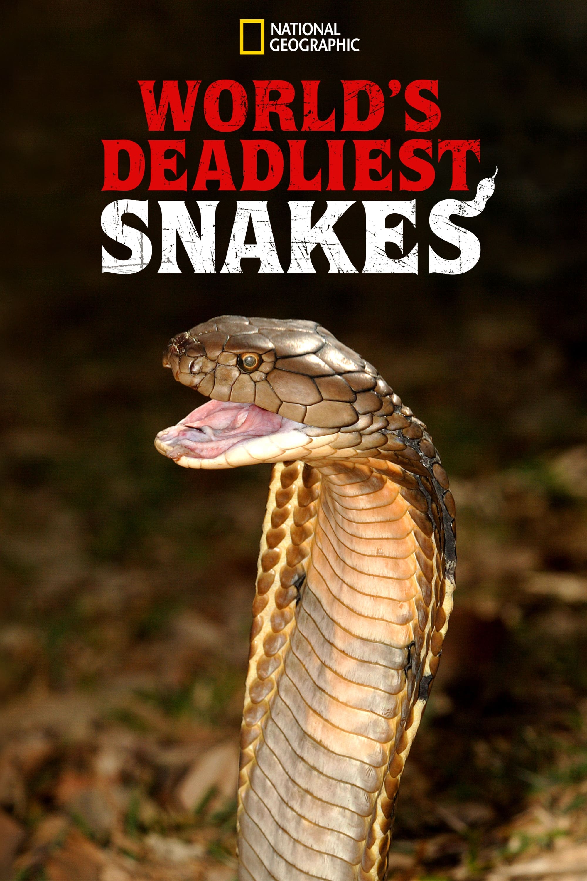 World's Deadliest Snakes TV Shows About Nature Documentary