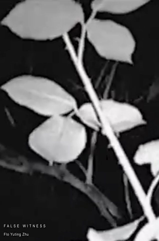 Plakat, der markedsfører False Witness