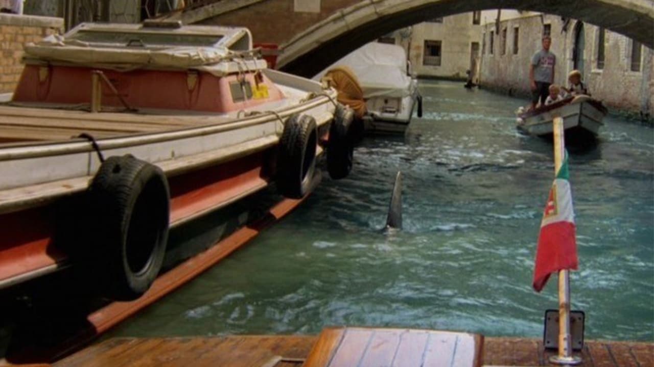 Tiburones en Venecia