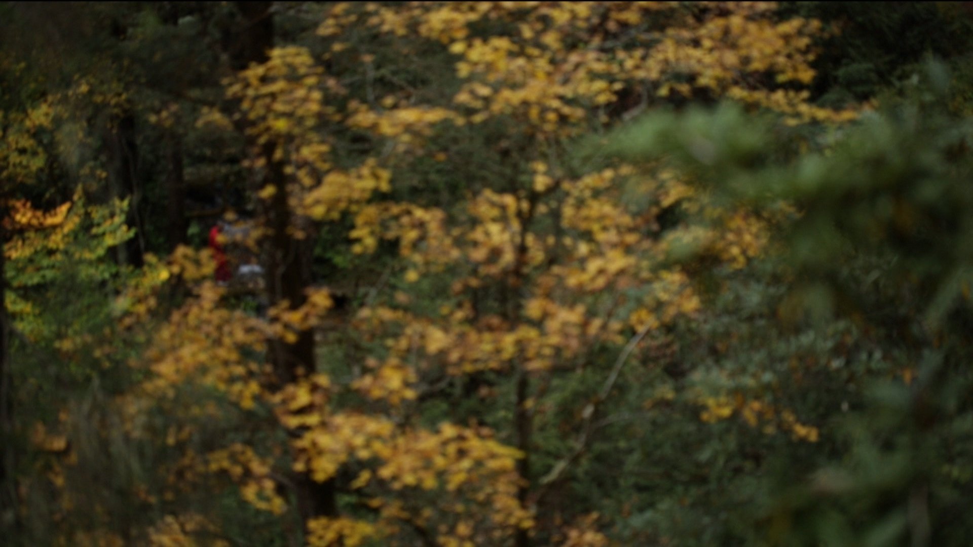 Imagem do Filme Monk in the Forest