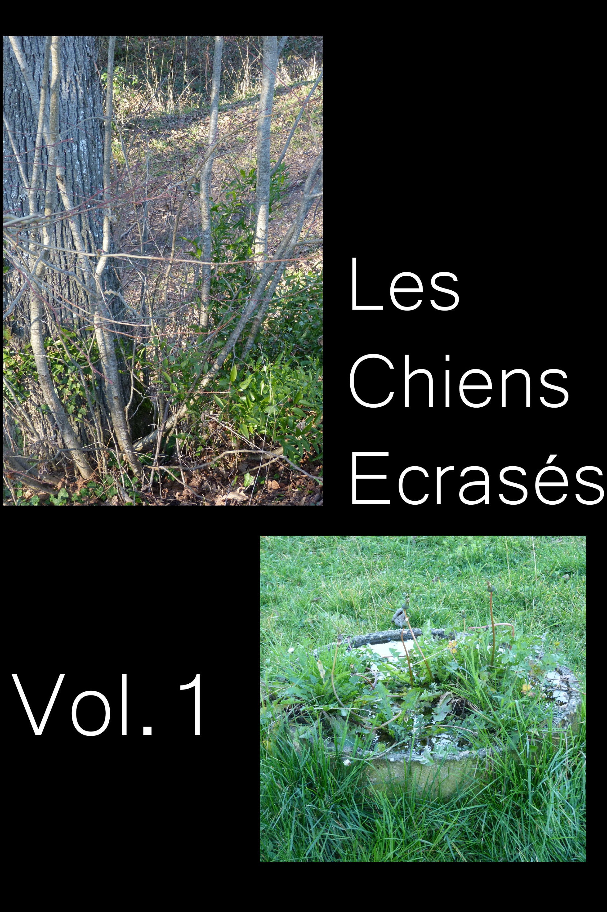 poster movie Les Chiens Écrasés vol.1