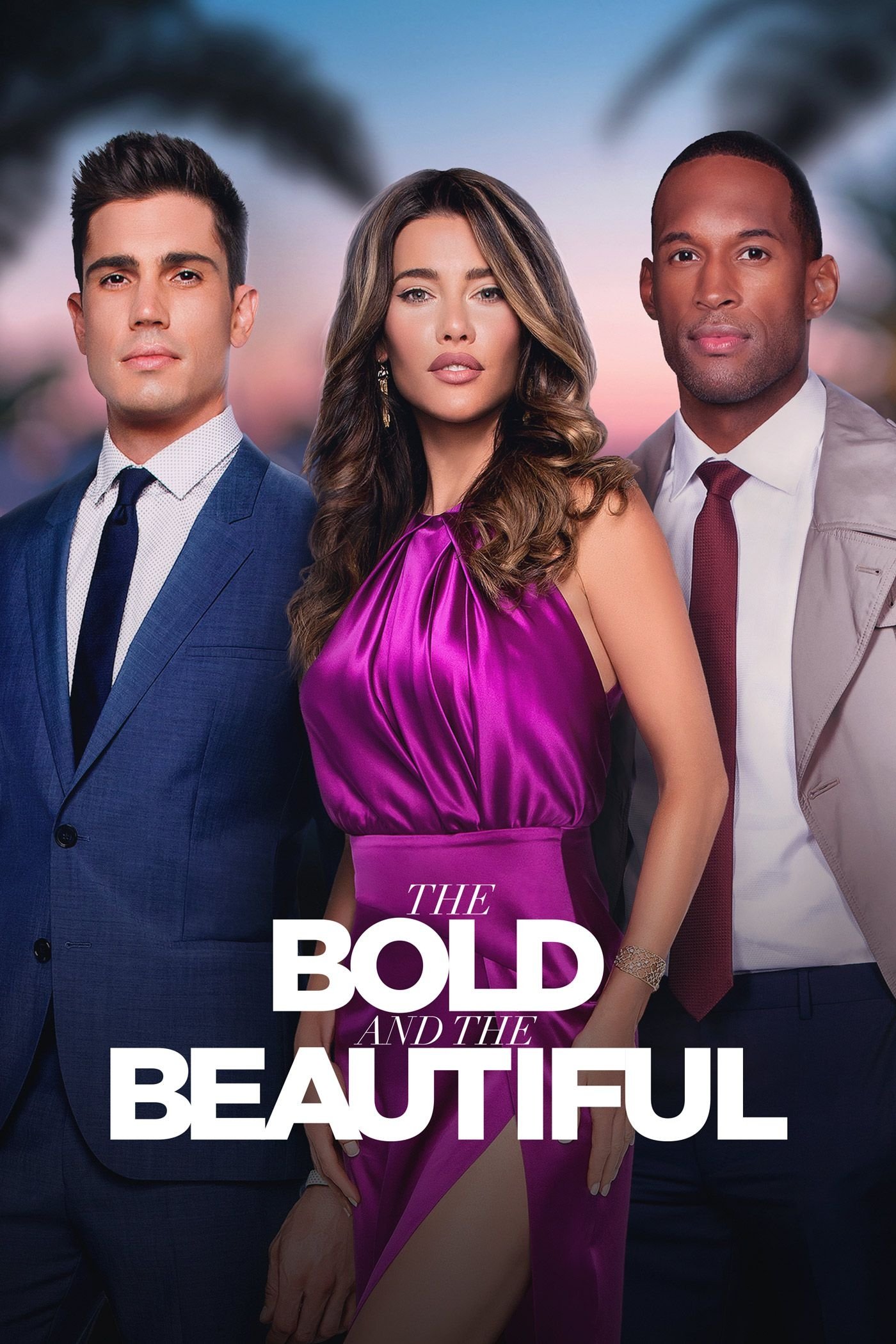The Bold and the Beautiful poster image