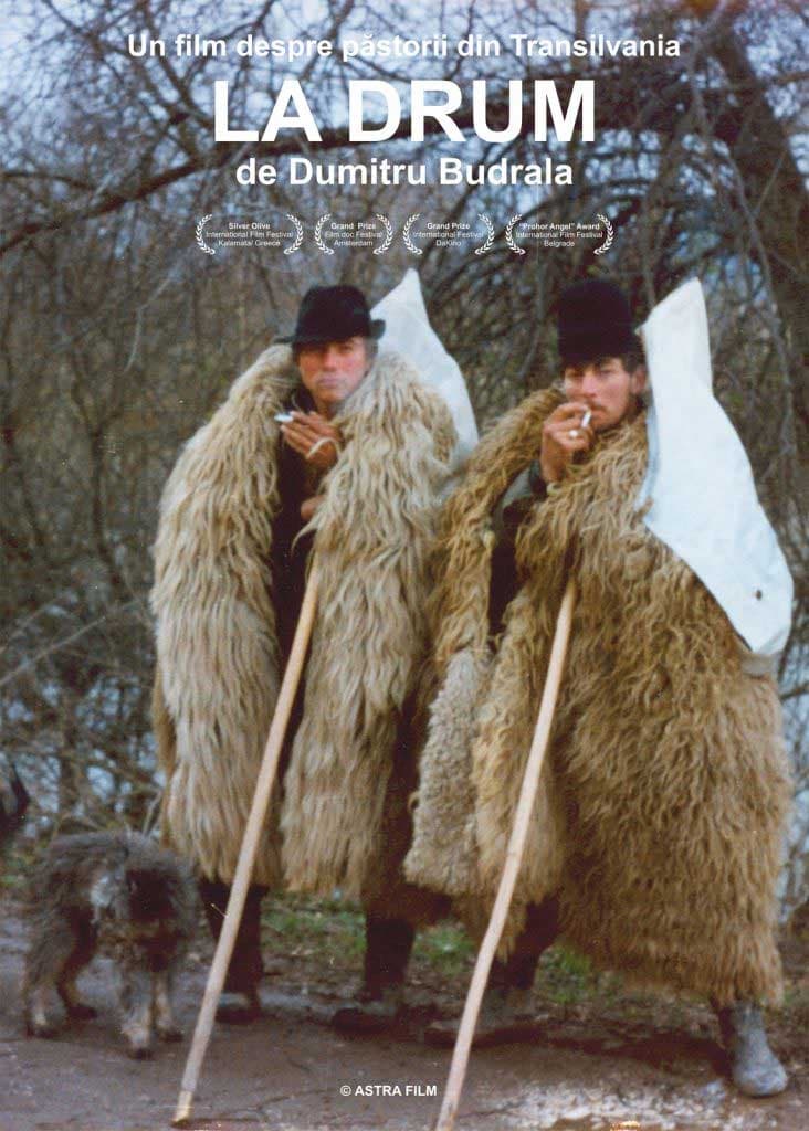 Content cover