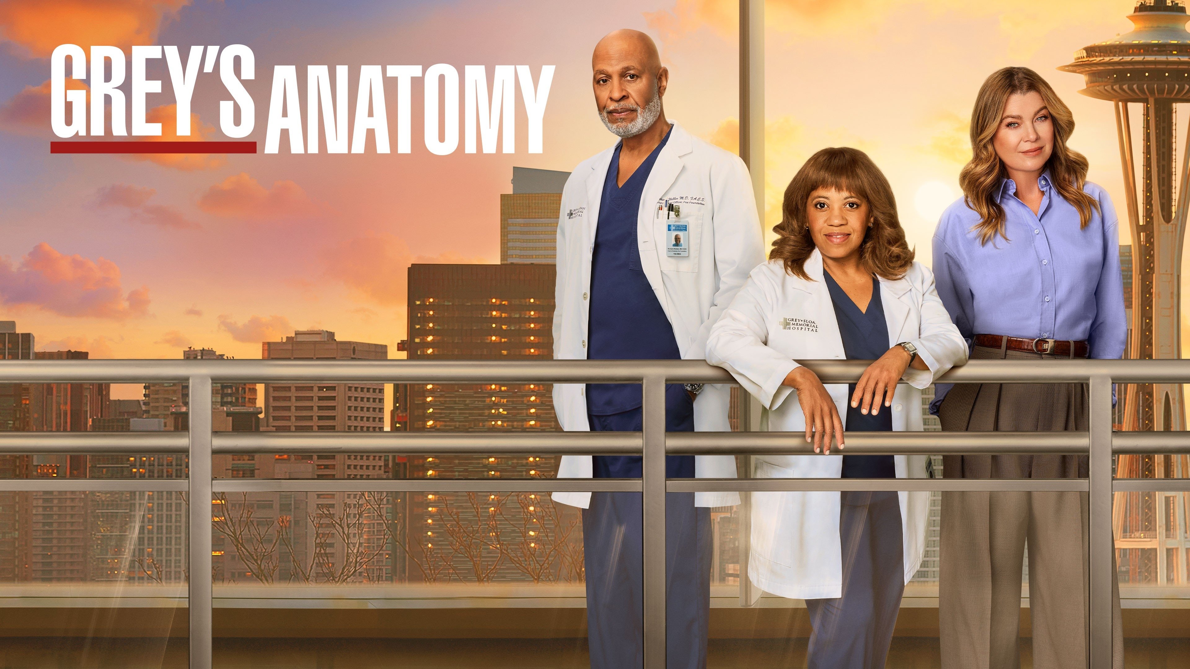 Grey's Anatomy - Season 13