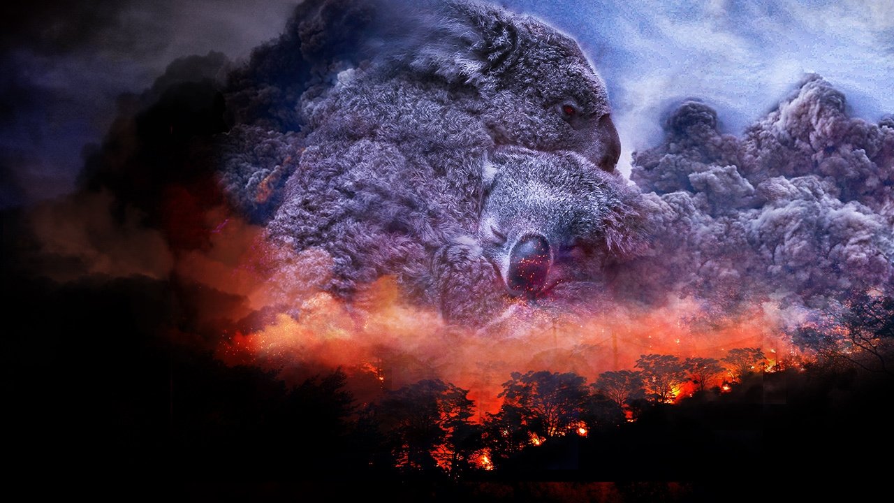 Wild Australia: After the Fires (2020)