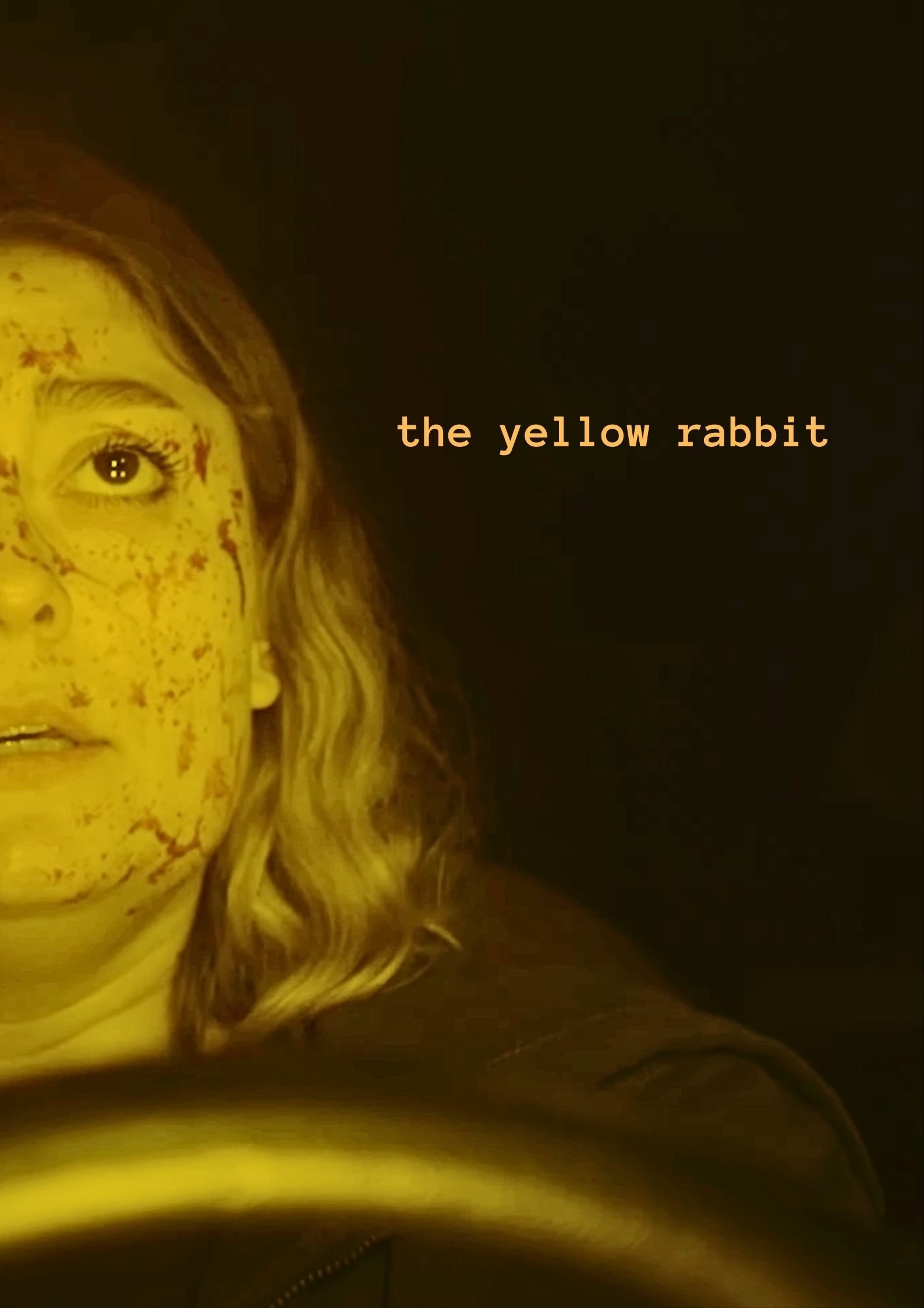 The Yellow Rabbit