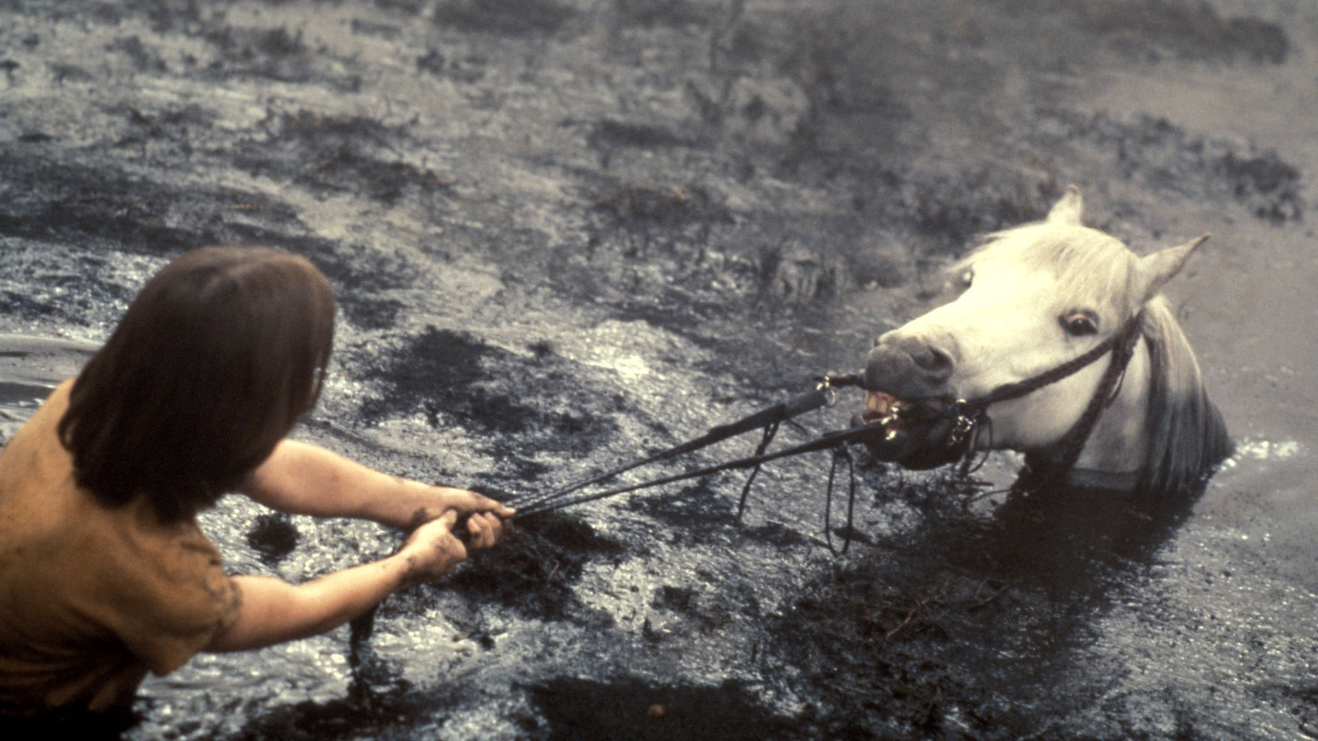 Бескрајна прича (1984)